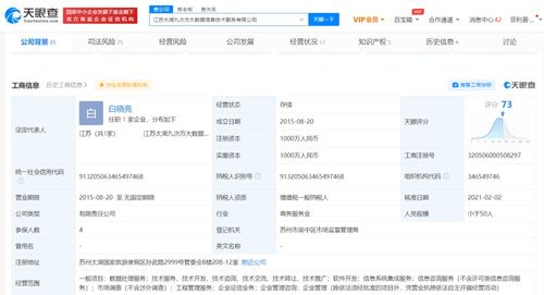 信息系統(tǒng)集成 數(shù)字時(shí)代的核心競(jìng)爭(zhēng)力